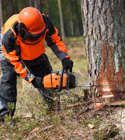 abattage-dessouchage-val-doise-95
