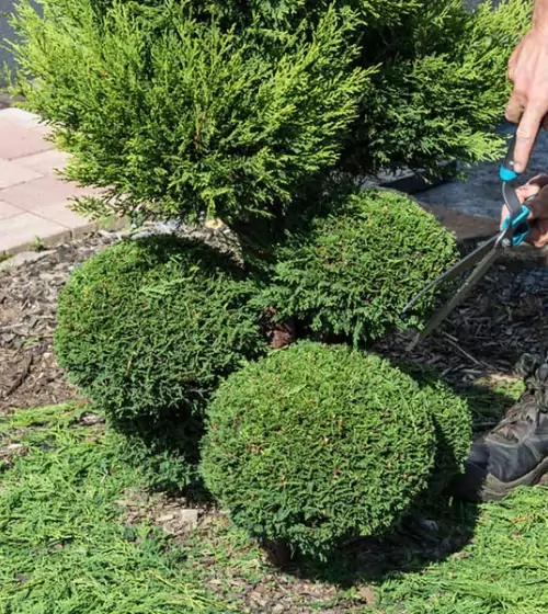 paysagiste-dans-le-val-oise-95