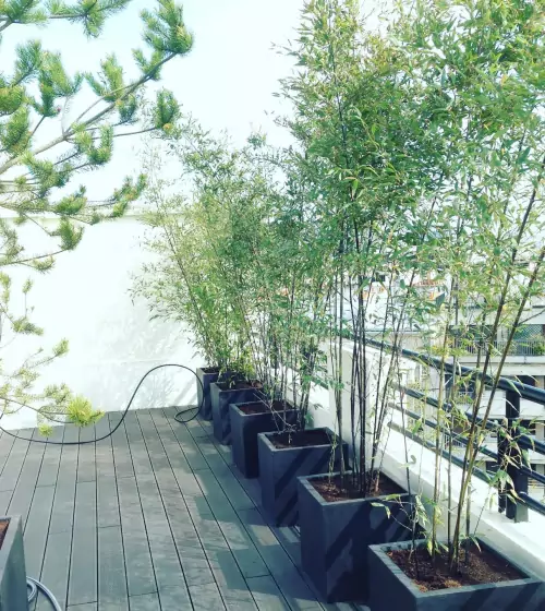 amangement-paysager-terrasse-paris-75