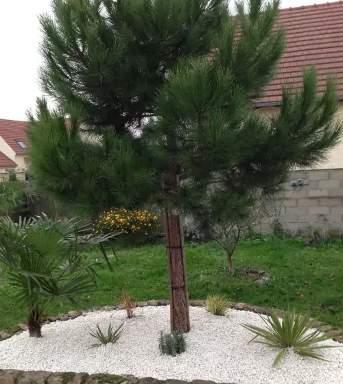 entreprise-jardin-paysagiste-val-d-oise-95