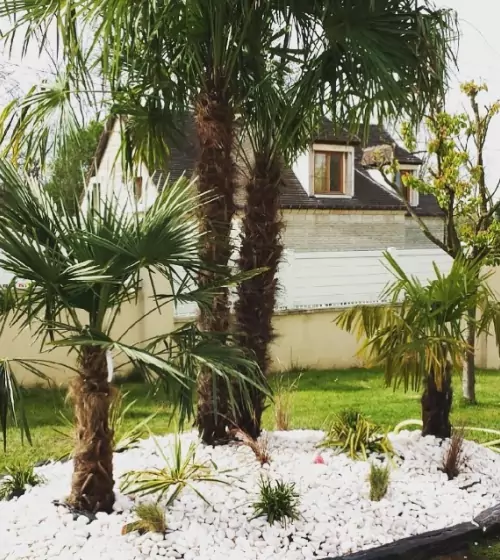 paysagiste-jardinier-val-d-oise