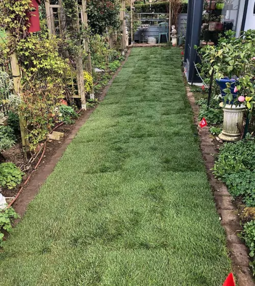 pose-gazon-en-rouleau-val-d-oise