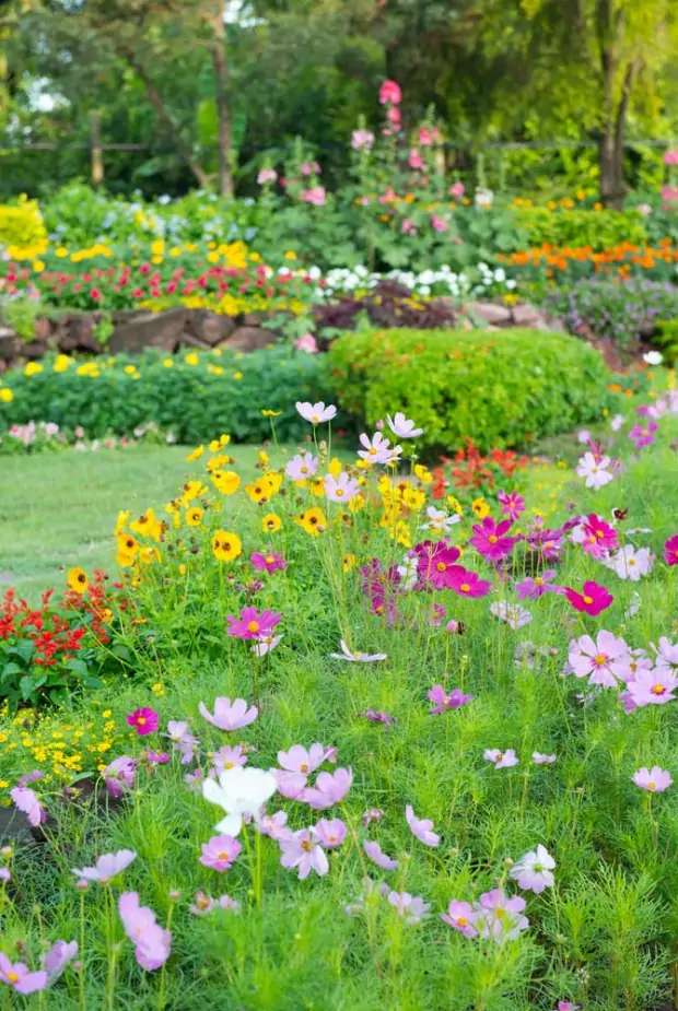 Paysagiste 95 : Aménagement Jardin