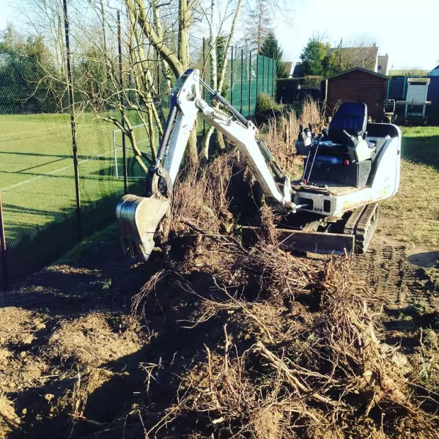 Élagage, abattage et débroussaillage dans le Val d'Oise et Ile-de-France