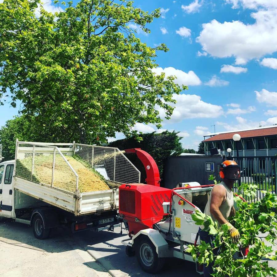 Abattage d'arbres et dessouchage dans la ville de Domont (95) image 7