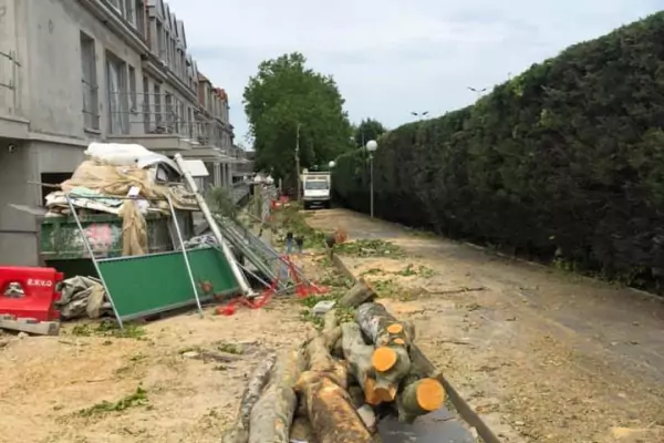 Abattage d'arbres et dessouchage dans la ville de Domont (95) image 3