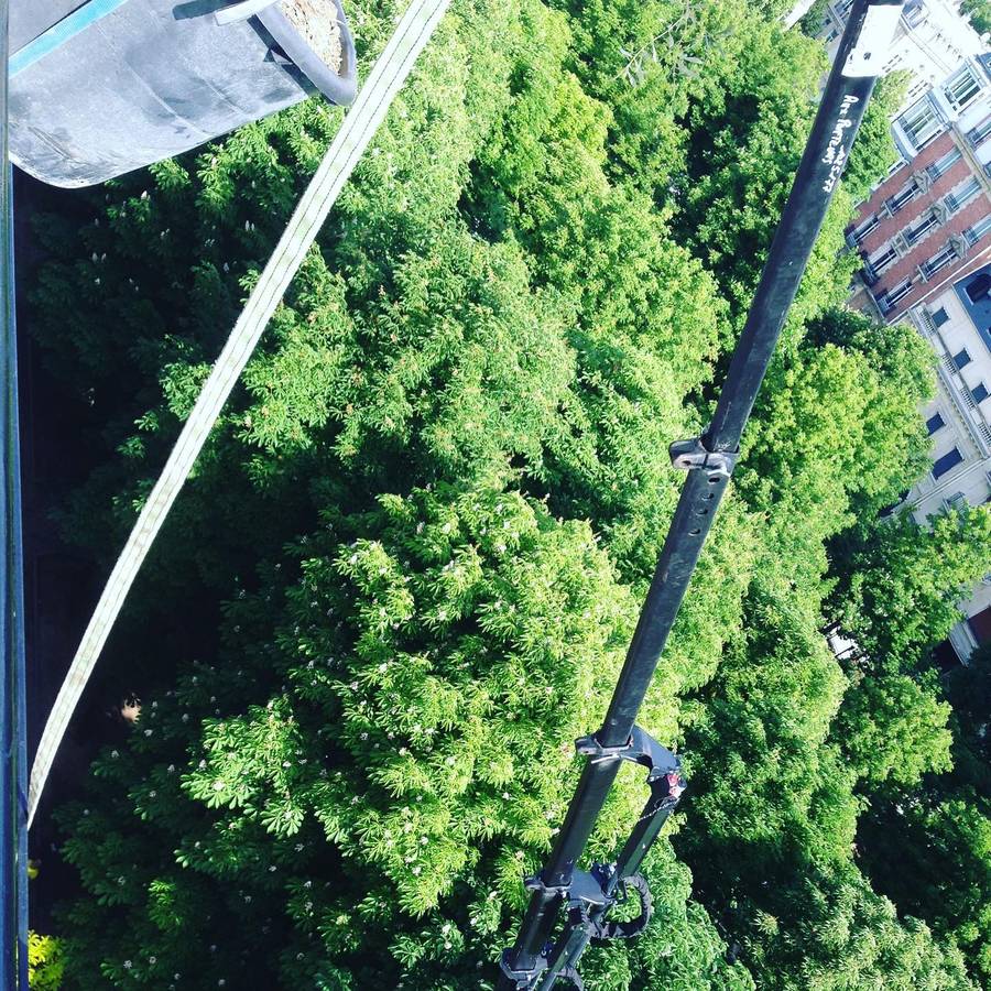 Aménagement d’une terrasse Paris 16 75016 image 6