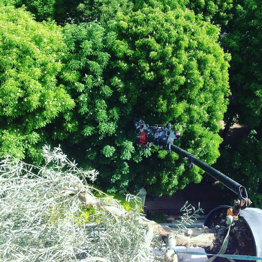 Aménagement d’une terrasse Paris 16 75016 image 7