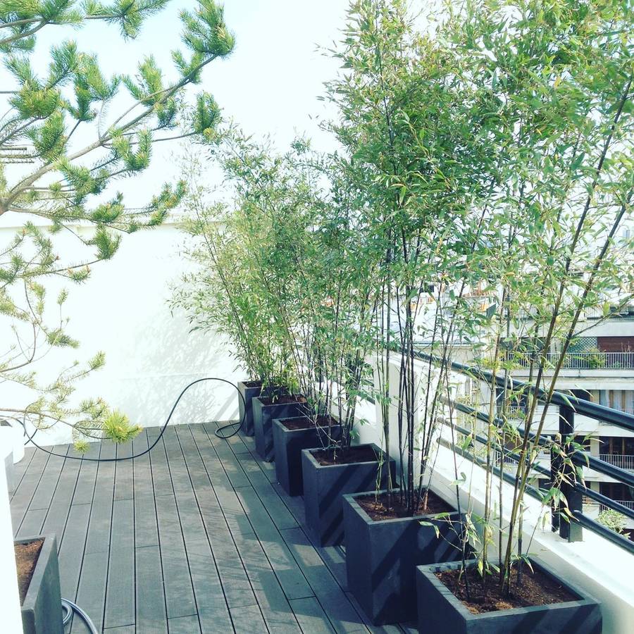 Aménagement d’une terrasse Paris 16 75016 image 3