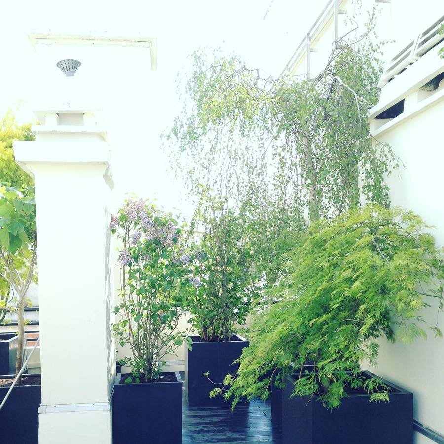 Aménagement d’une terrasse Paris 16 75016 image 4