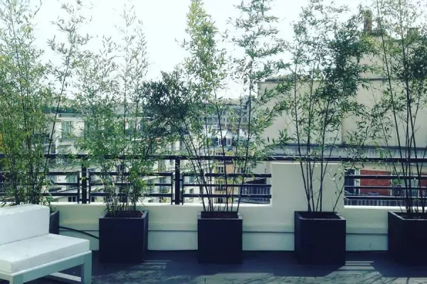 Aménagement d’une terrasse Paris 16 75016 image 2