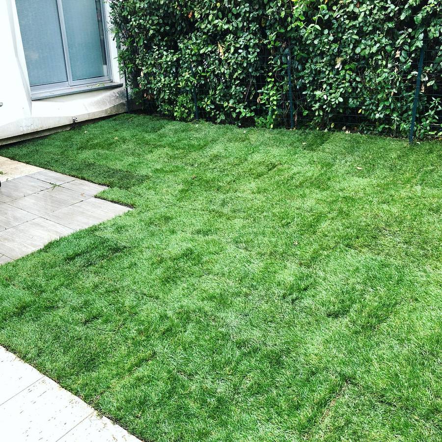 Entretien des espaces verts à Paris 16 75016 image 3