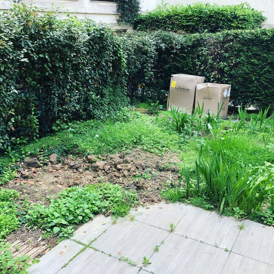 Entretien des espaces verts à Paris 16 75016 image 7