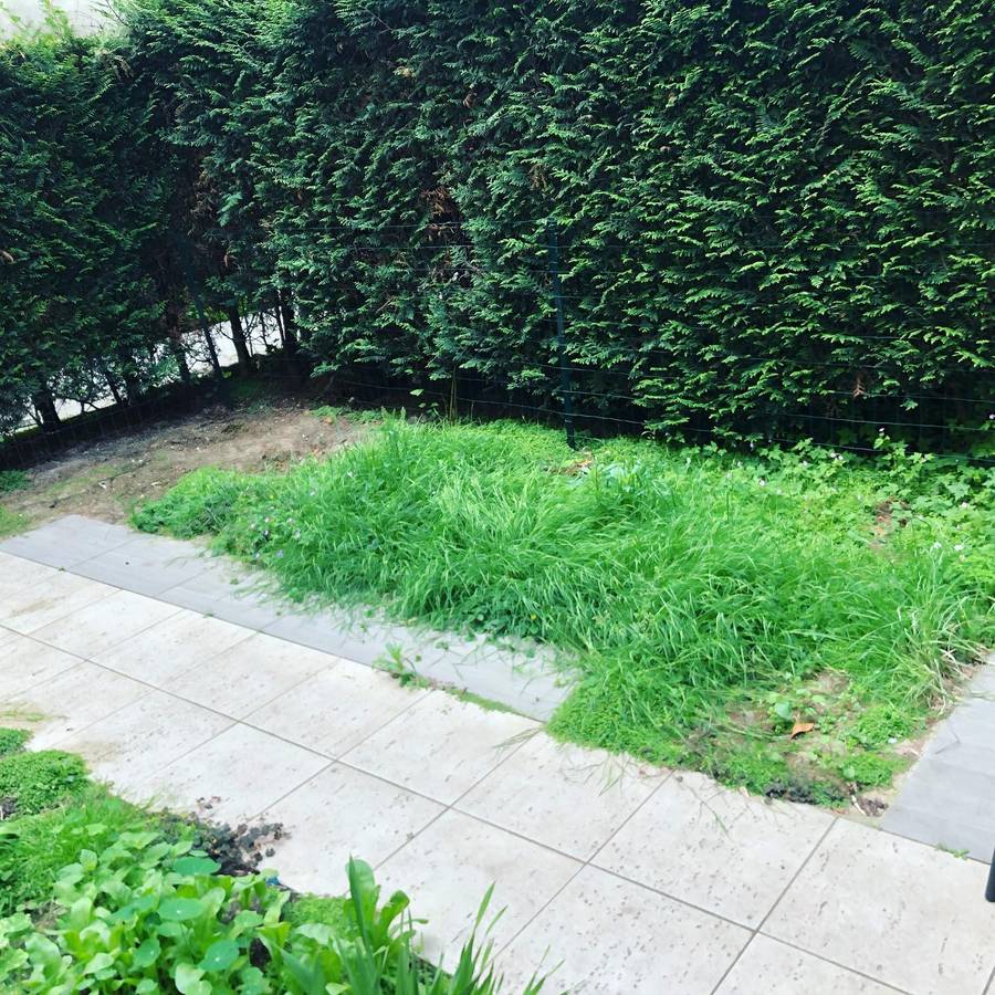 Entretien des espaces verts à Paris 16 75016 image 8