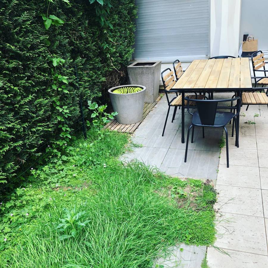 Entretien des espaces verts à Paris 16 75016 image 9