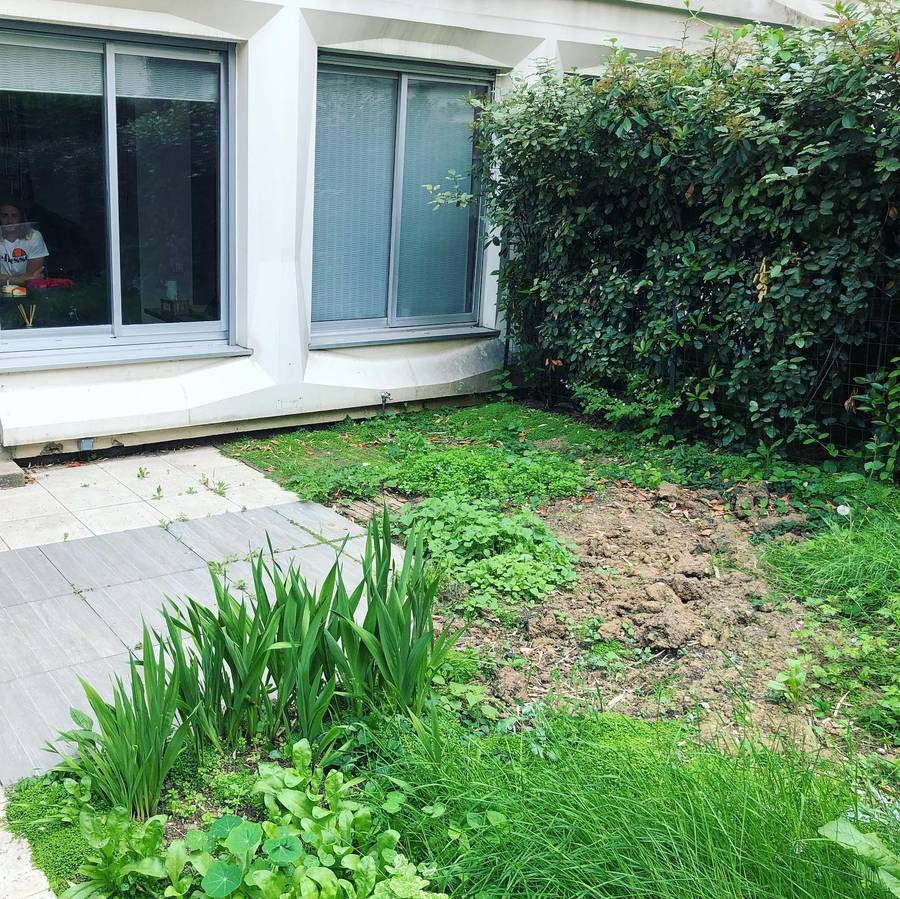 Entretien des espaces verts à Paris 16 75016 image 10