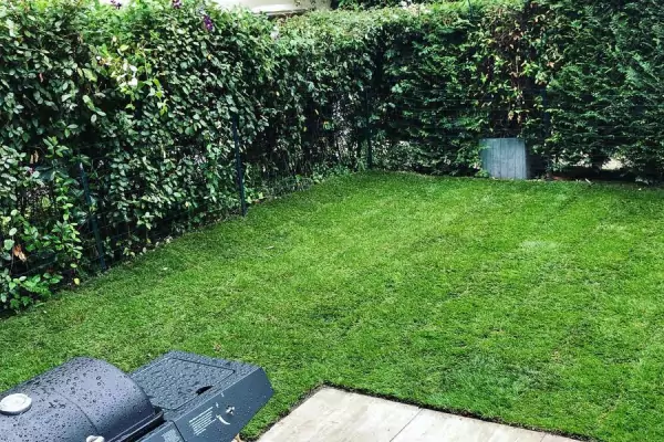 Entretien des espaces verts à Paris 16 75016 image 6