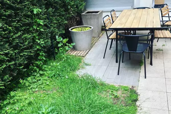 Entretien des espaces verts à Paris 16 75016 image 9